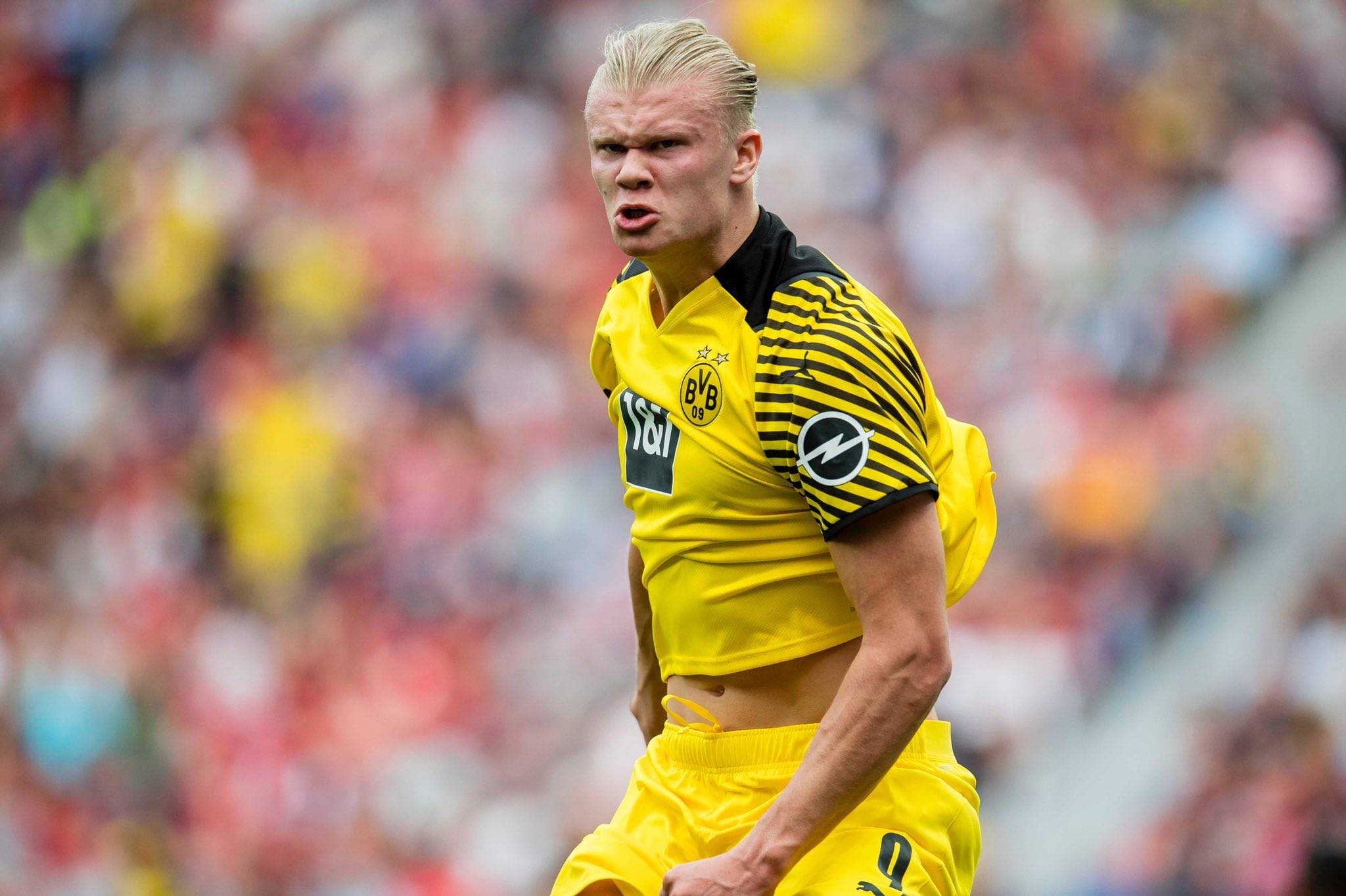 胆的运作立 胆的运作立