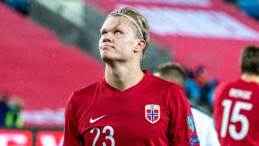 报价与注册 报价与注册